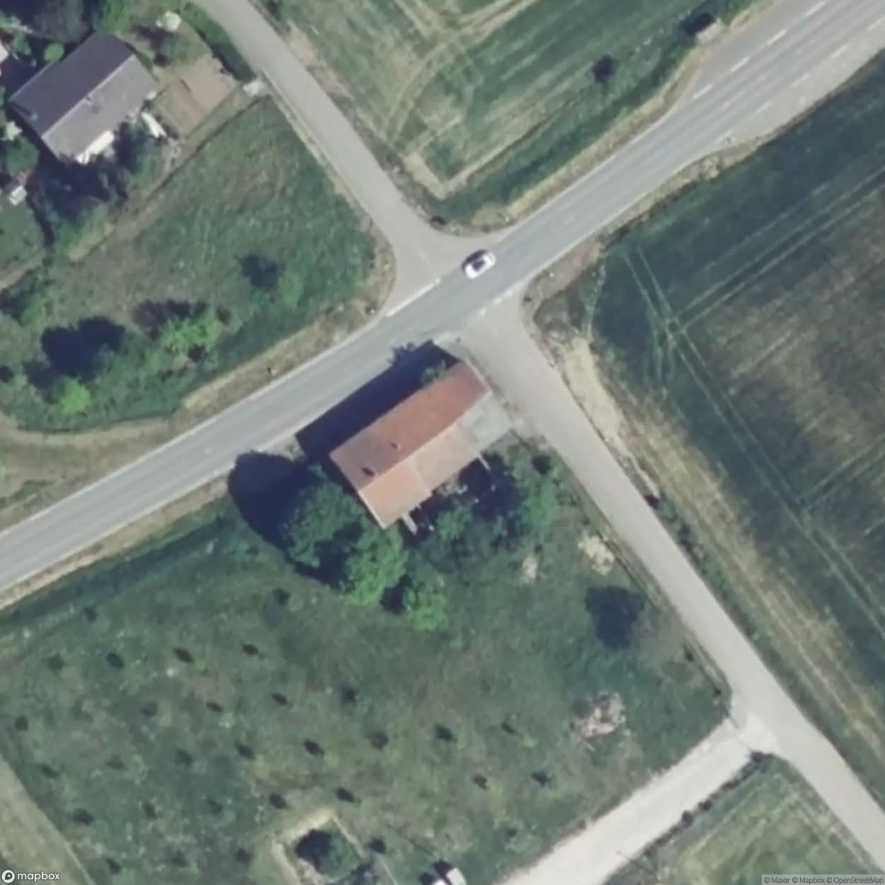 House Bow [FRA] #03314