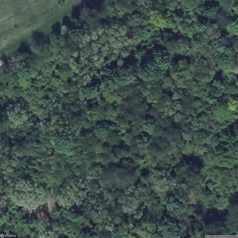 Ammunition Depot [FRA] #16675