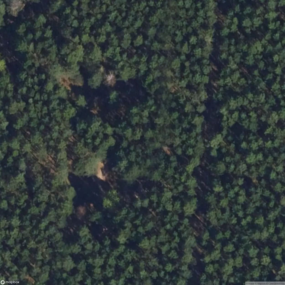 Abandoned Fort Torun [DEU] #31948