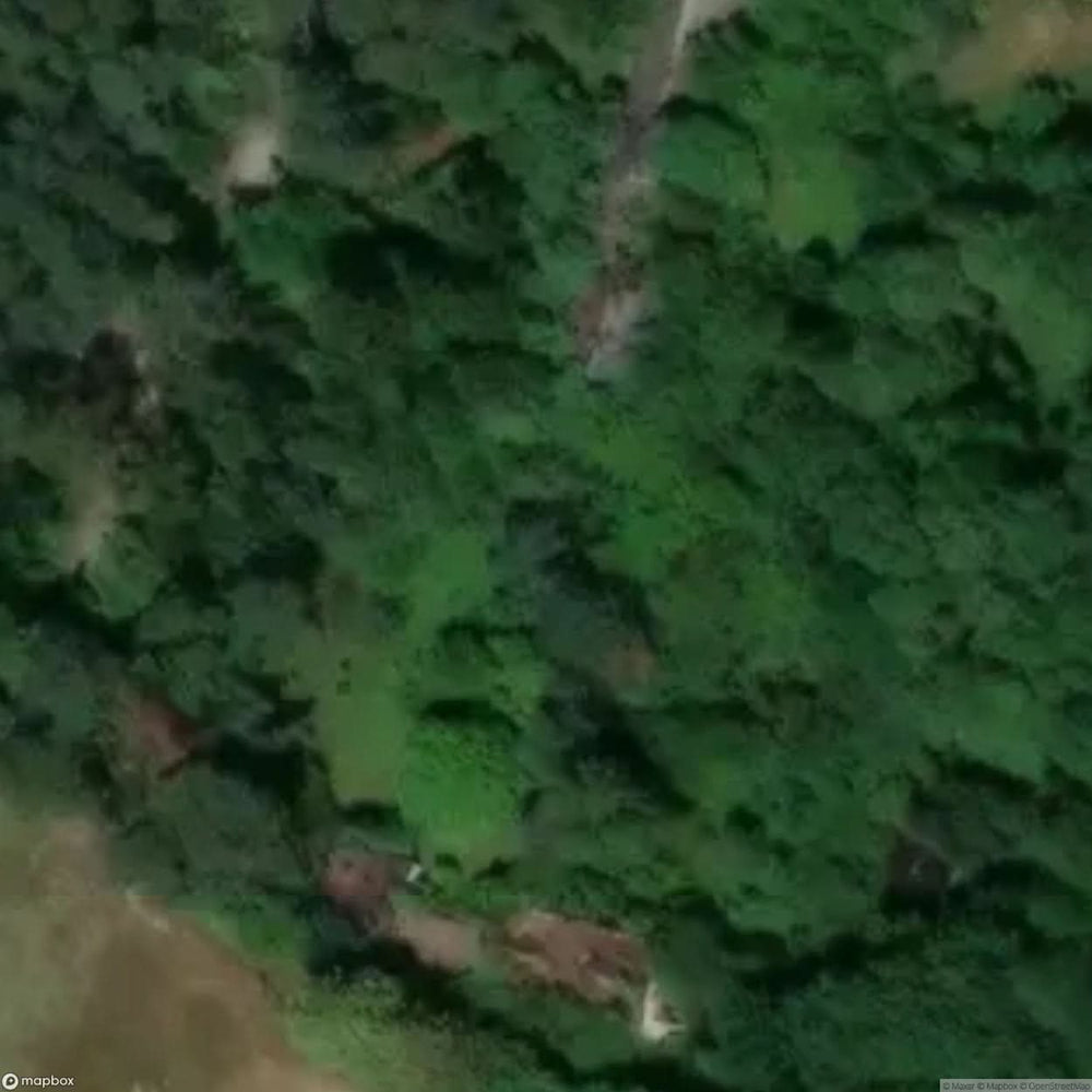 Badzyn Site [POL] #33268