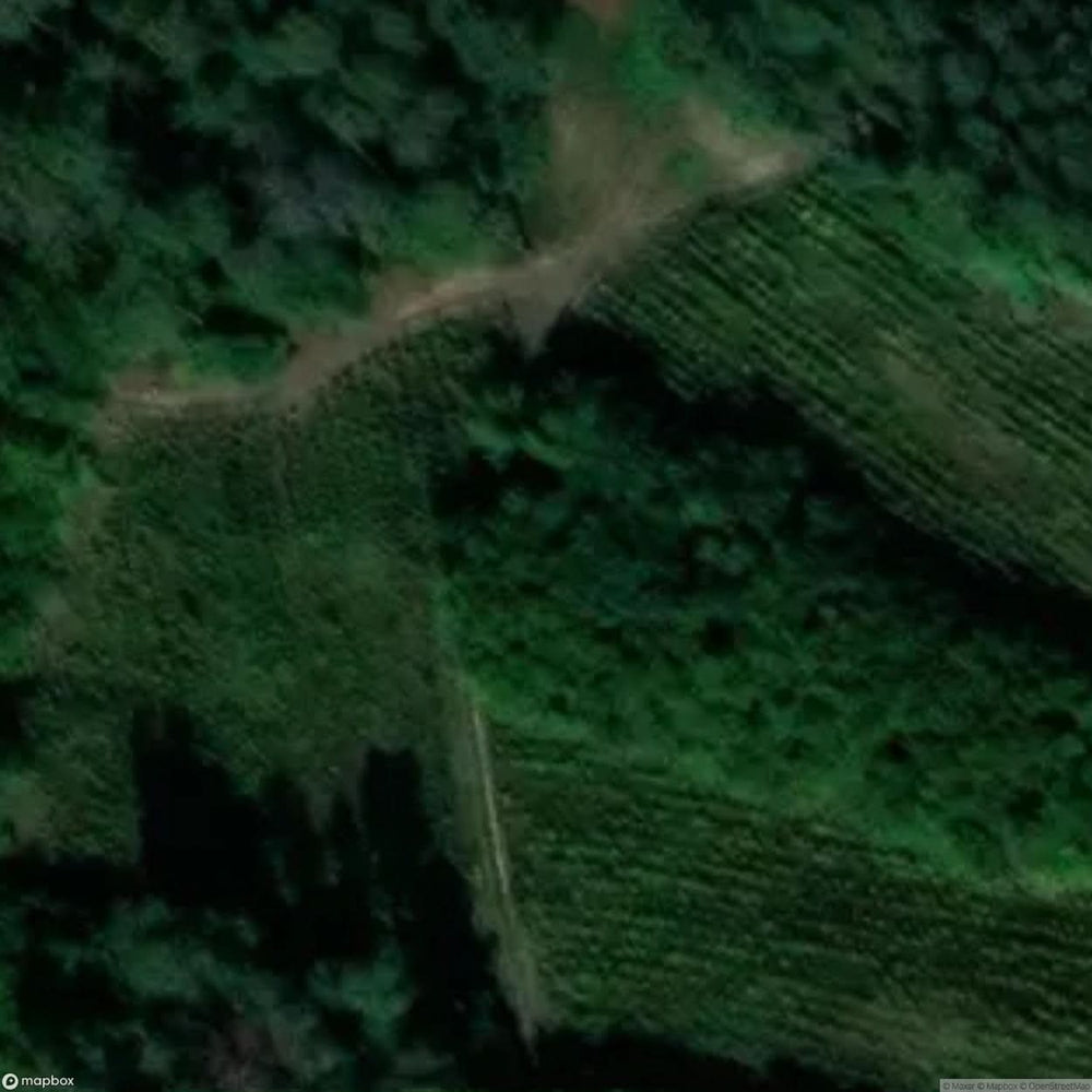 Site Ruins Of St Martin S Church [POL] #33538
