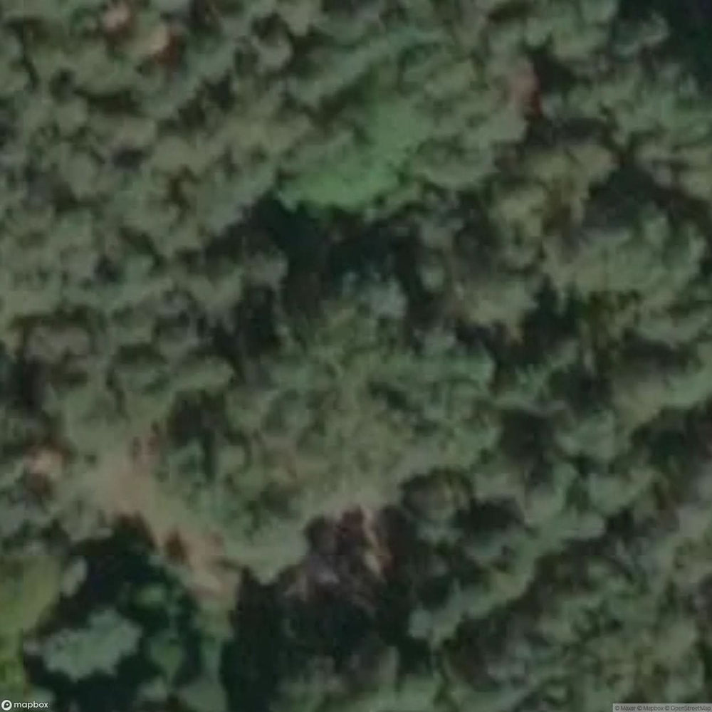 Rp Bunker [DEU] #15642