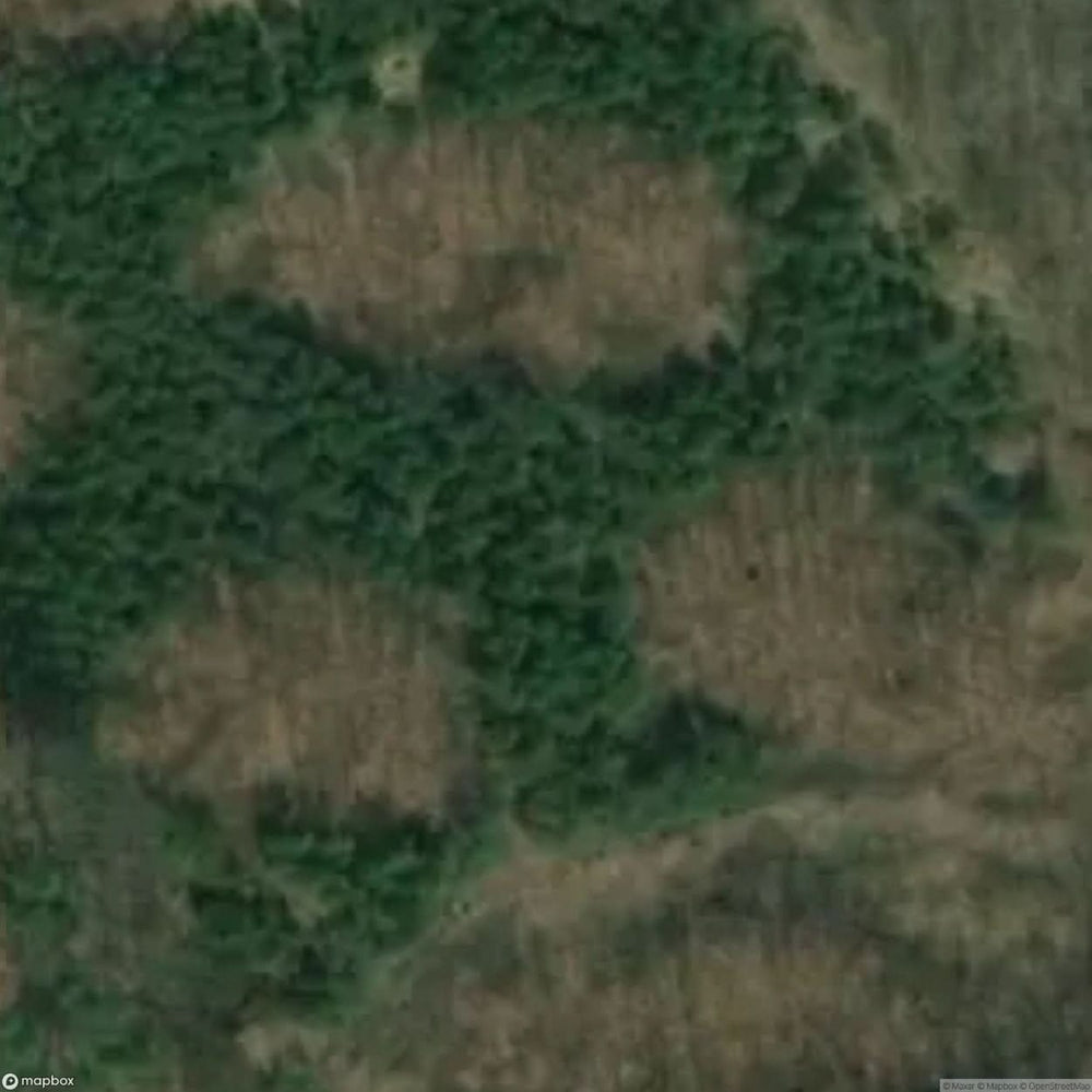 Site Kartoszyno [POL] #33162