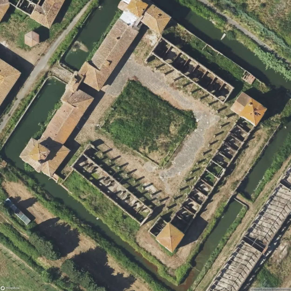 Medici Farm [ITA] #11159