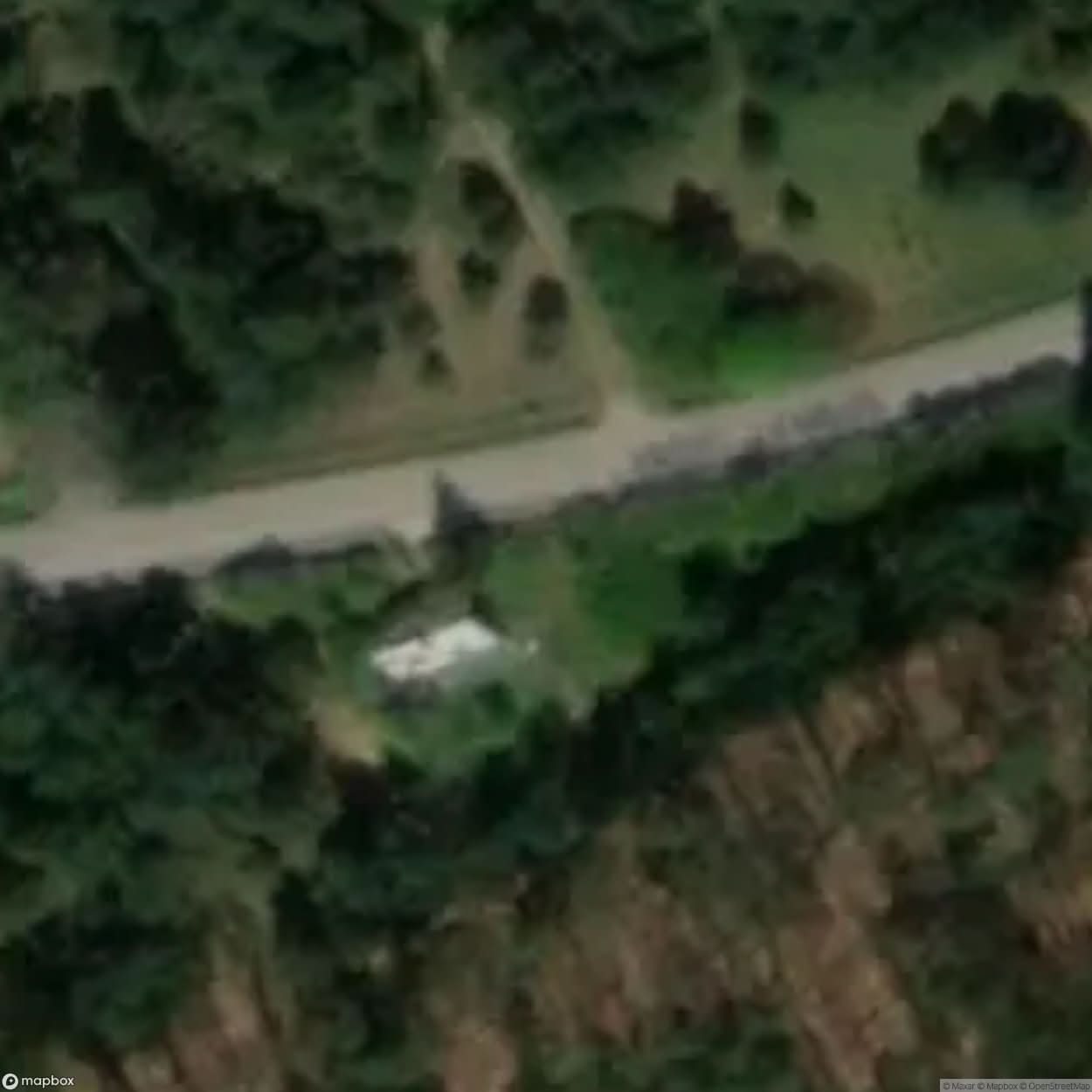 Site A Cottage Full Of Lilacs [POL] #34020