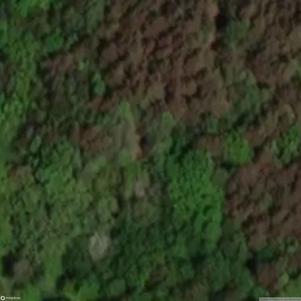 Ruins Of A Bunker [POL] #11774