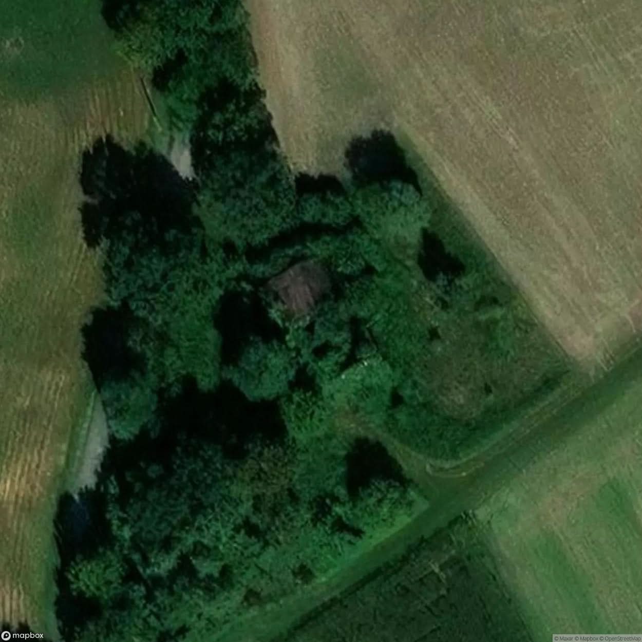 Collapsed Manor House [POL] #02258