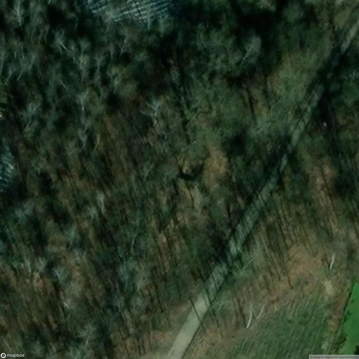 Site Bedzin [POL] #33441