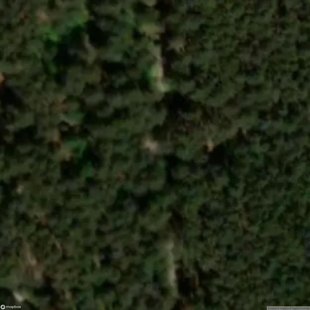 Askarzew Site [POL] #33284