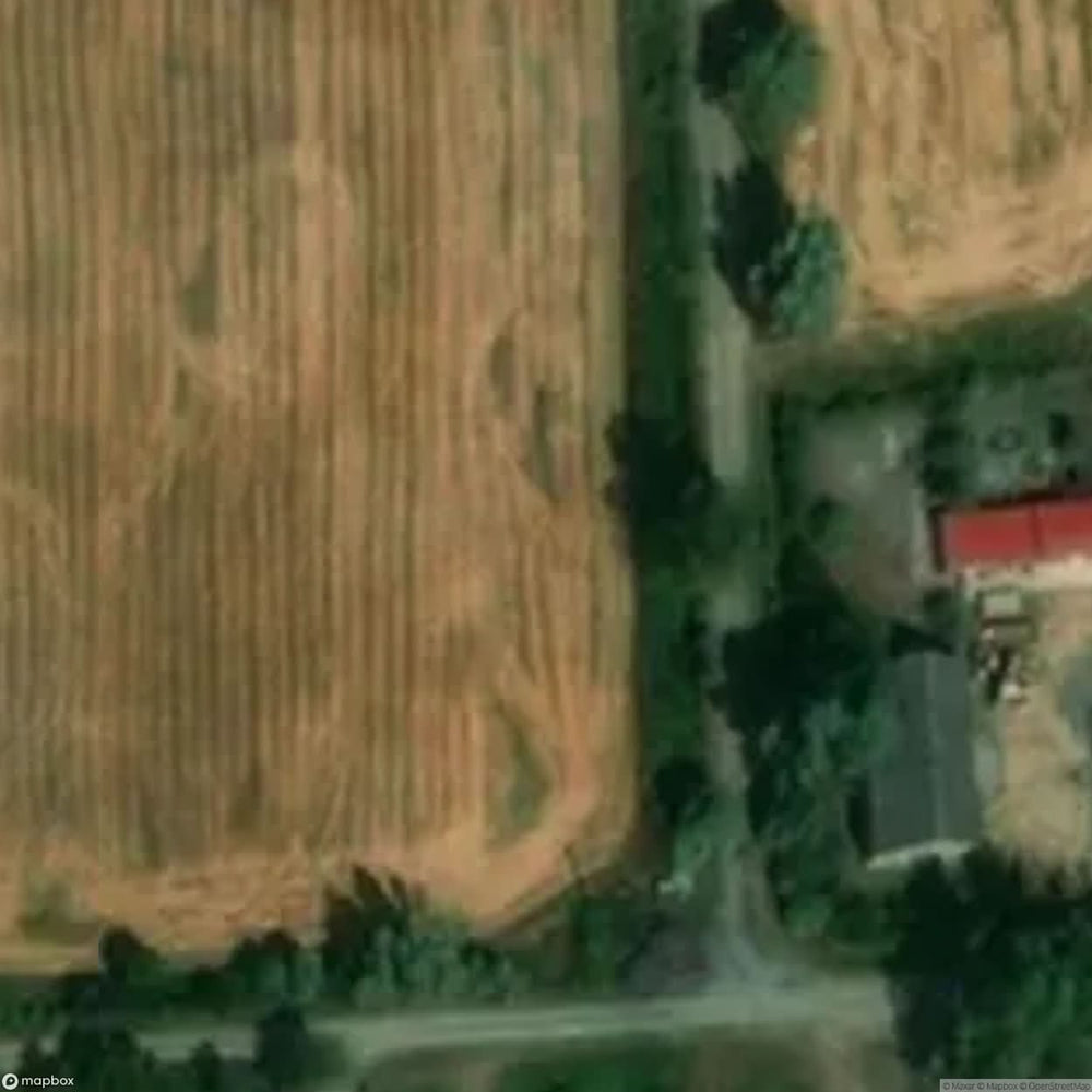 Historic Cemetery Z Otnica [POL] #35794