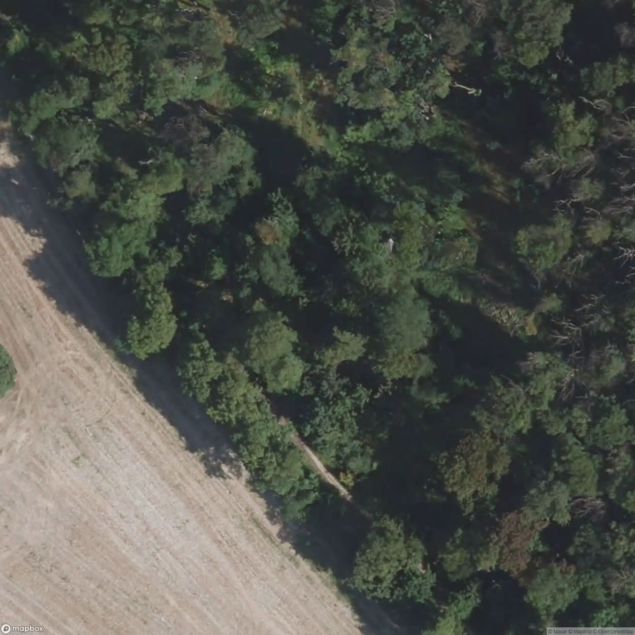 Forest Burial Grounds Halle [DEU] #12124