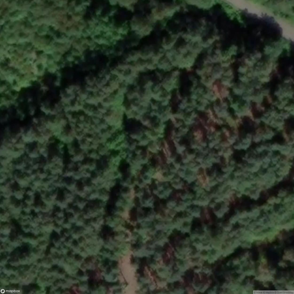 Woodside Colliery [GBR] #06686