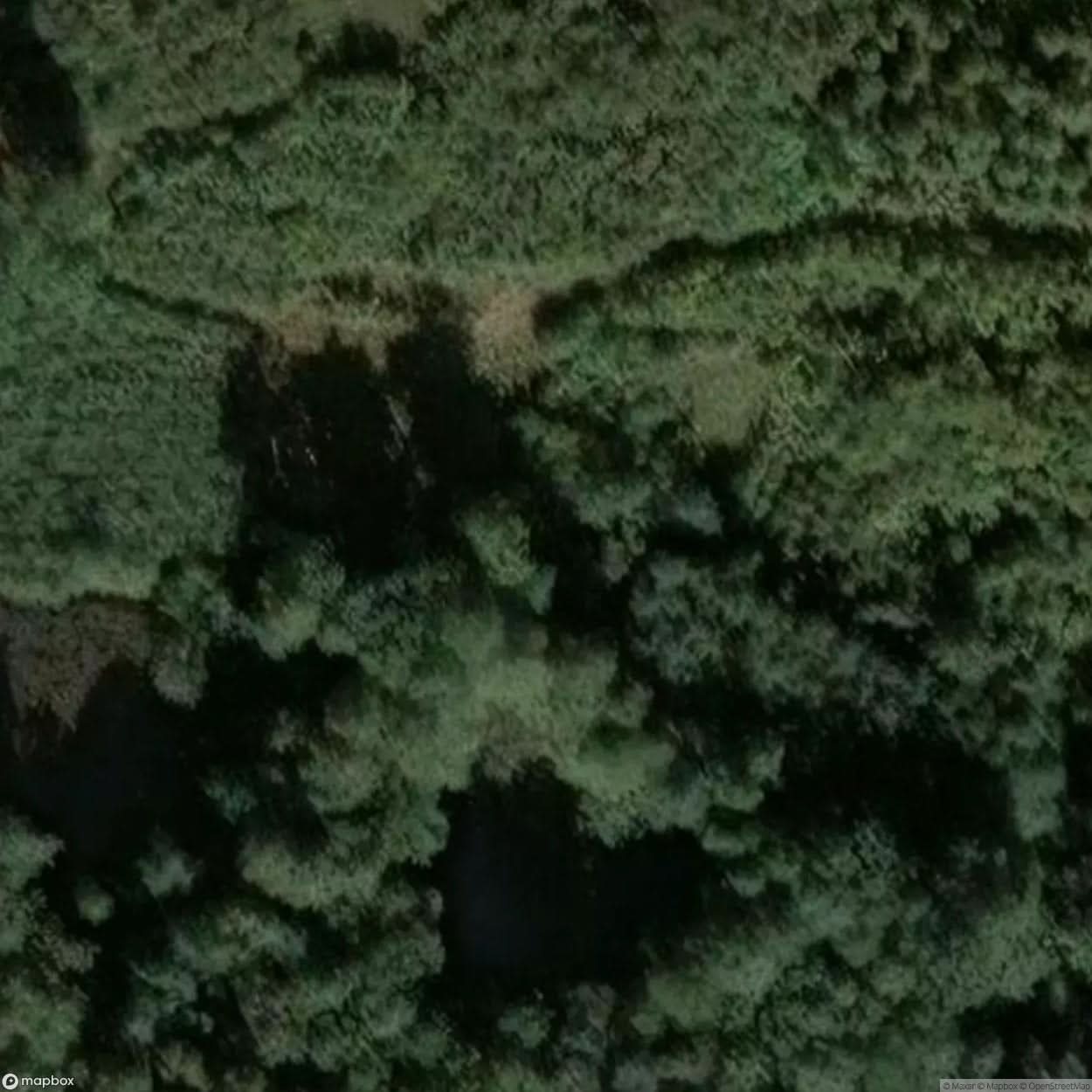 Site Old Canal Zbros Awice [POL] #29825