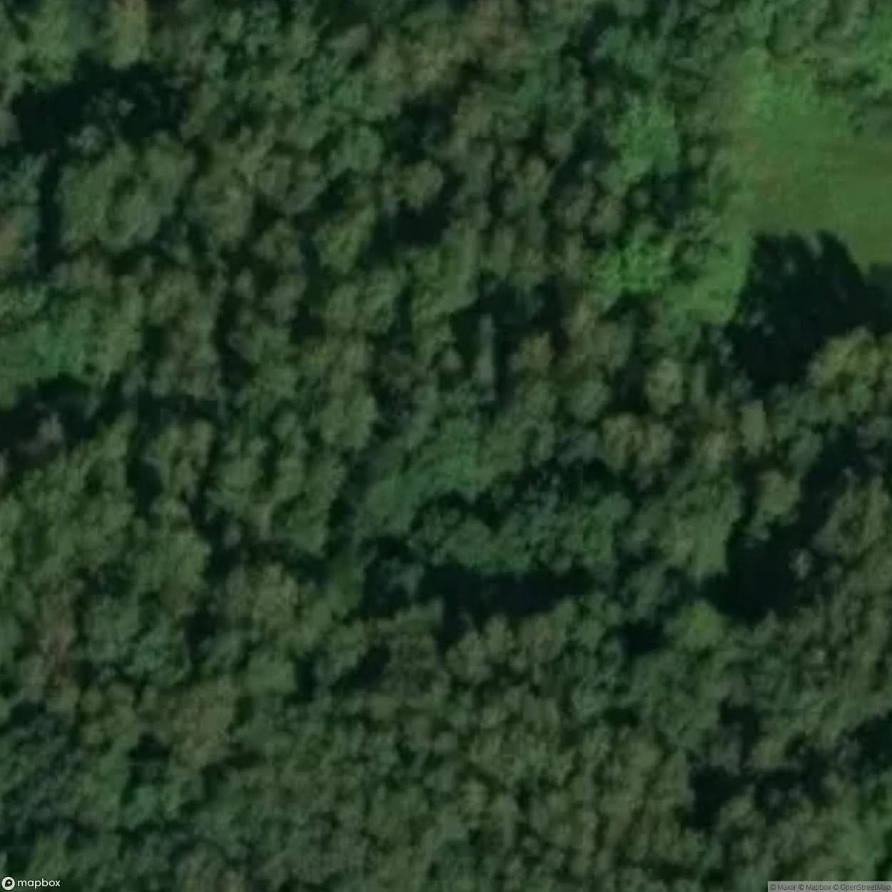 Abandoned Air Defense Site Lesznowola [POL] #32100