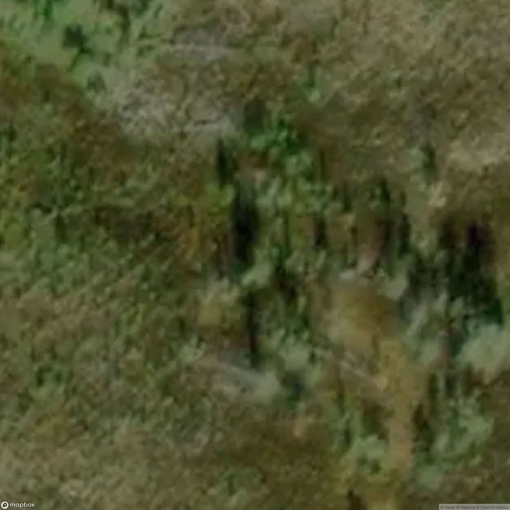 Fire Tower [SWE] #05664