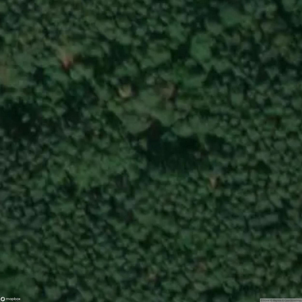 Ox Head Bunker [POL] #16711