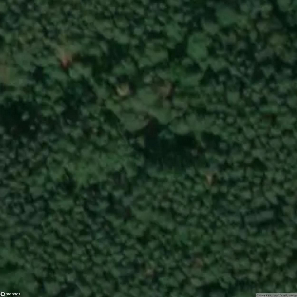 Ox Head Bunker [POL] #16711