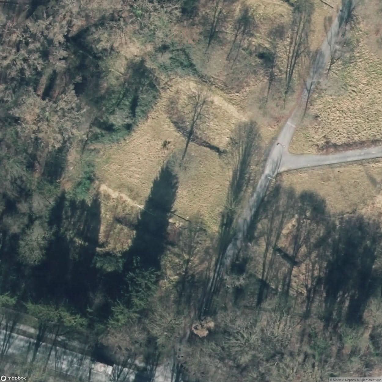 Ruins Of Old Roscigno [DEU] #13623