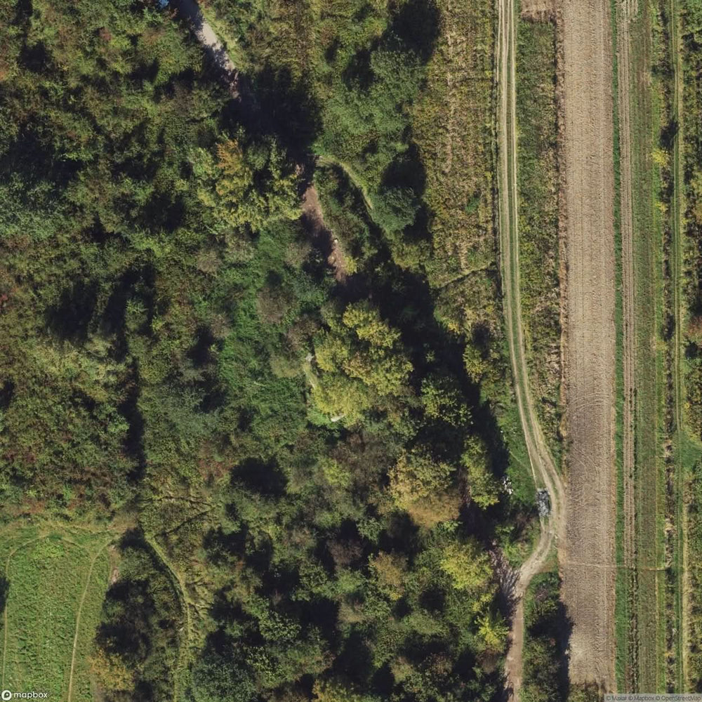 Site Ysa Gora Ammunition Depot [POL] #33390