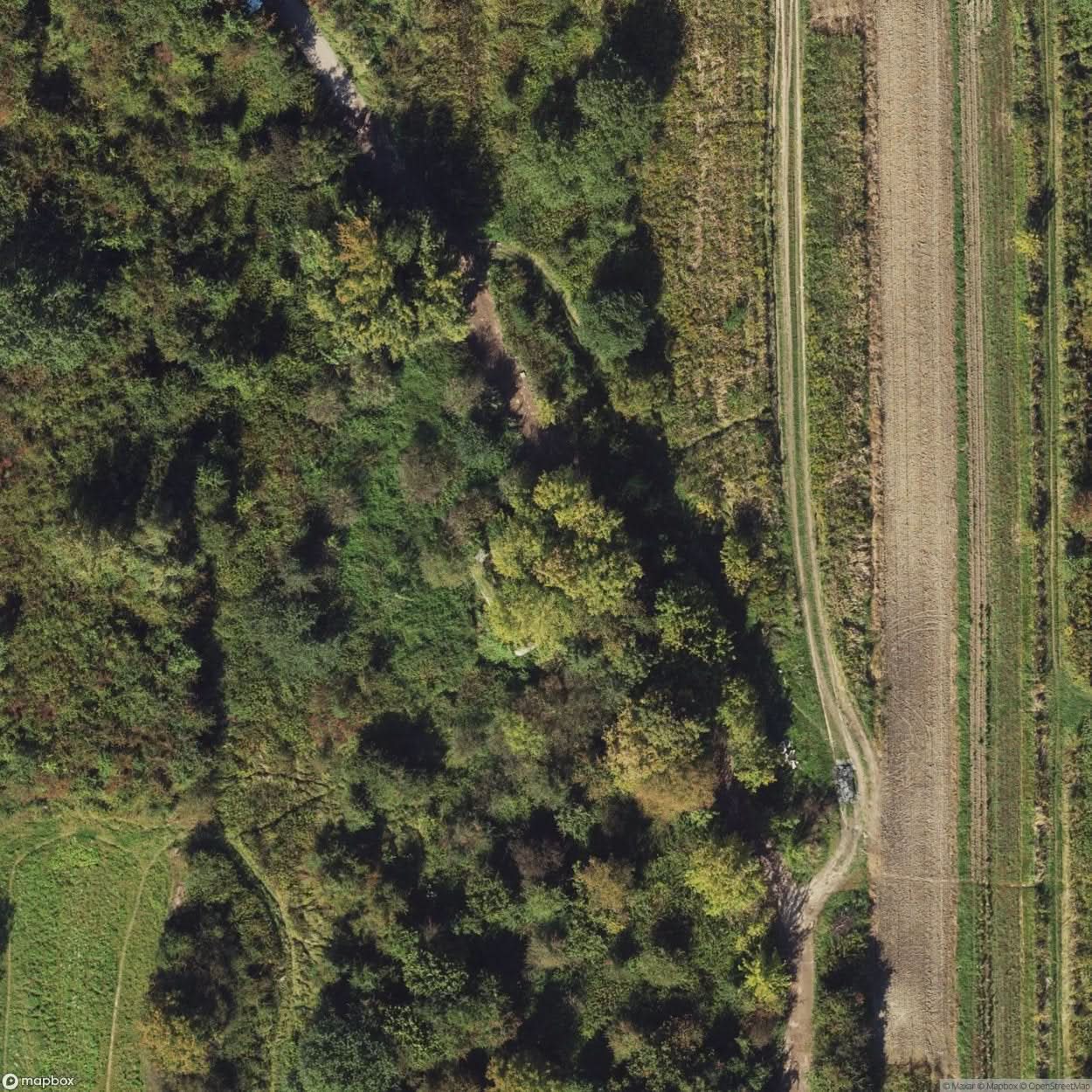 Site Ysa Gora Ammunition Depot [POL] #33390