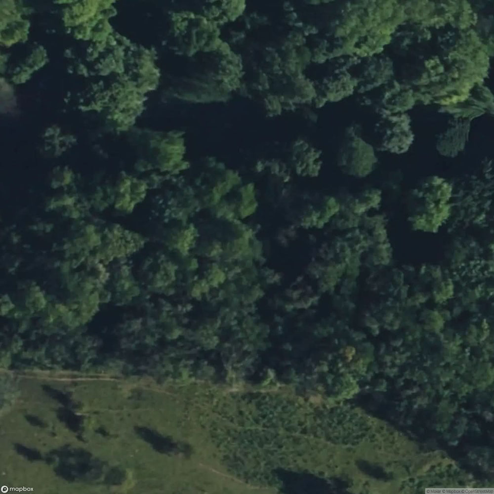 Ruins Of Itzehoe [GBR] #11664