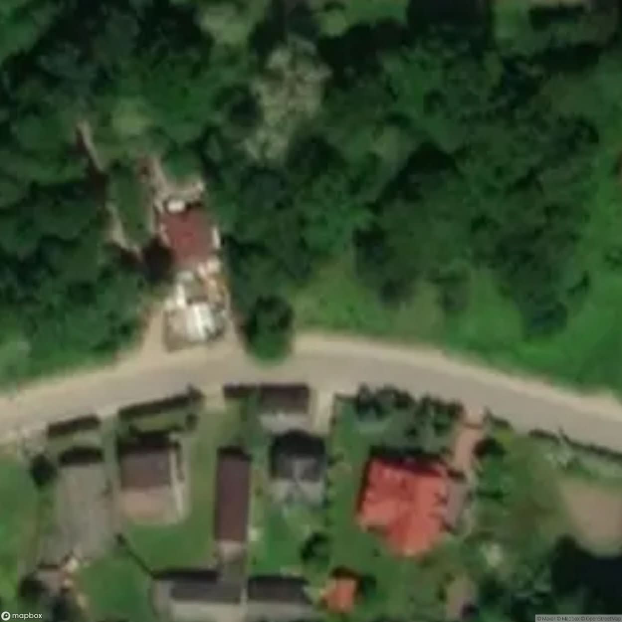 Cat Site [POL] #33381