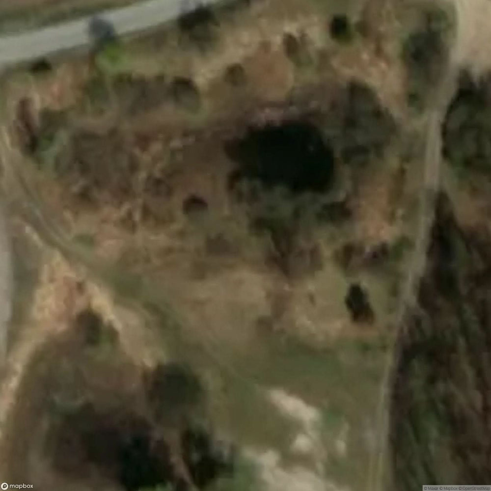 Historic Cemetery Gumnowice [POL] #35800