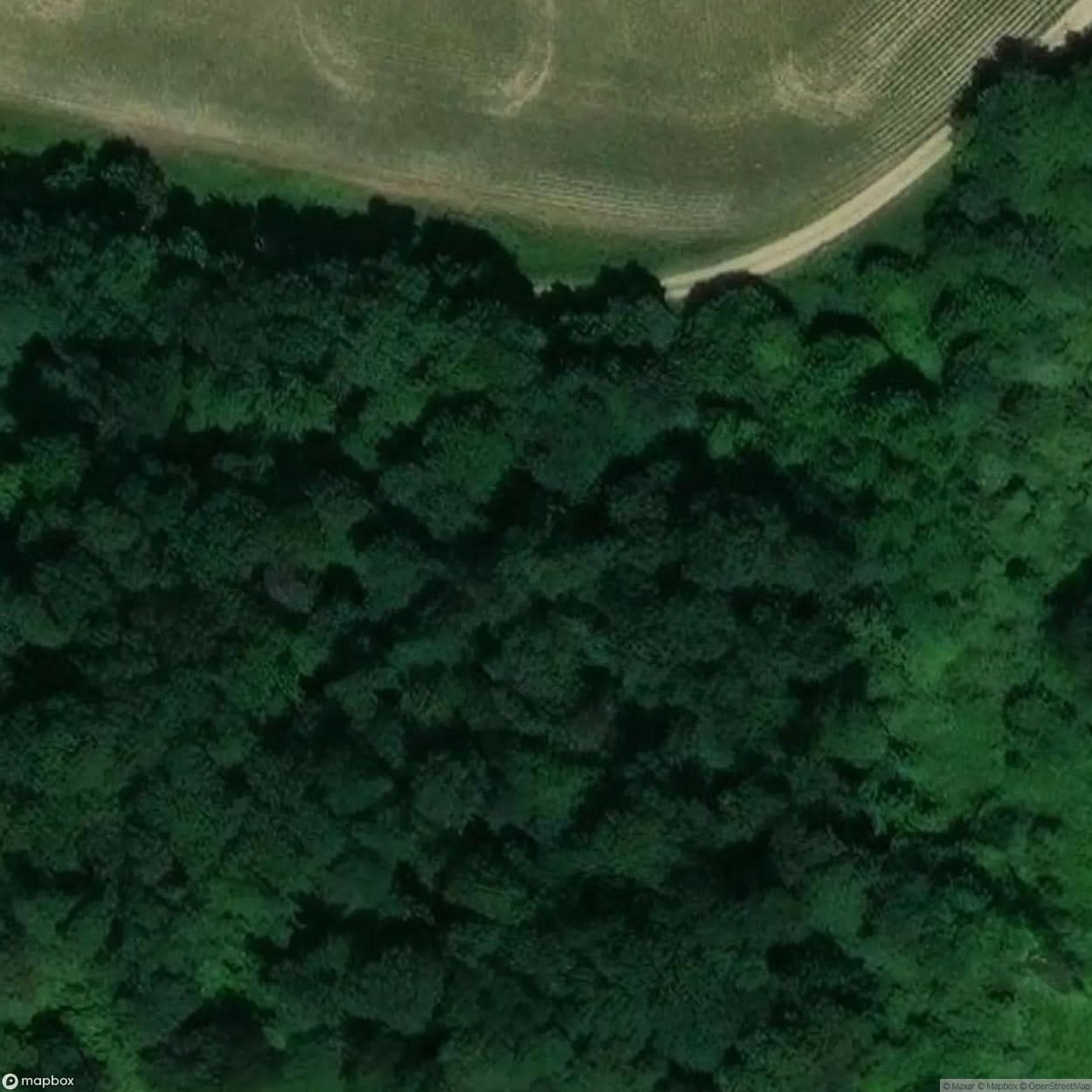Tyler Cattle Road [AUT] #14697