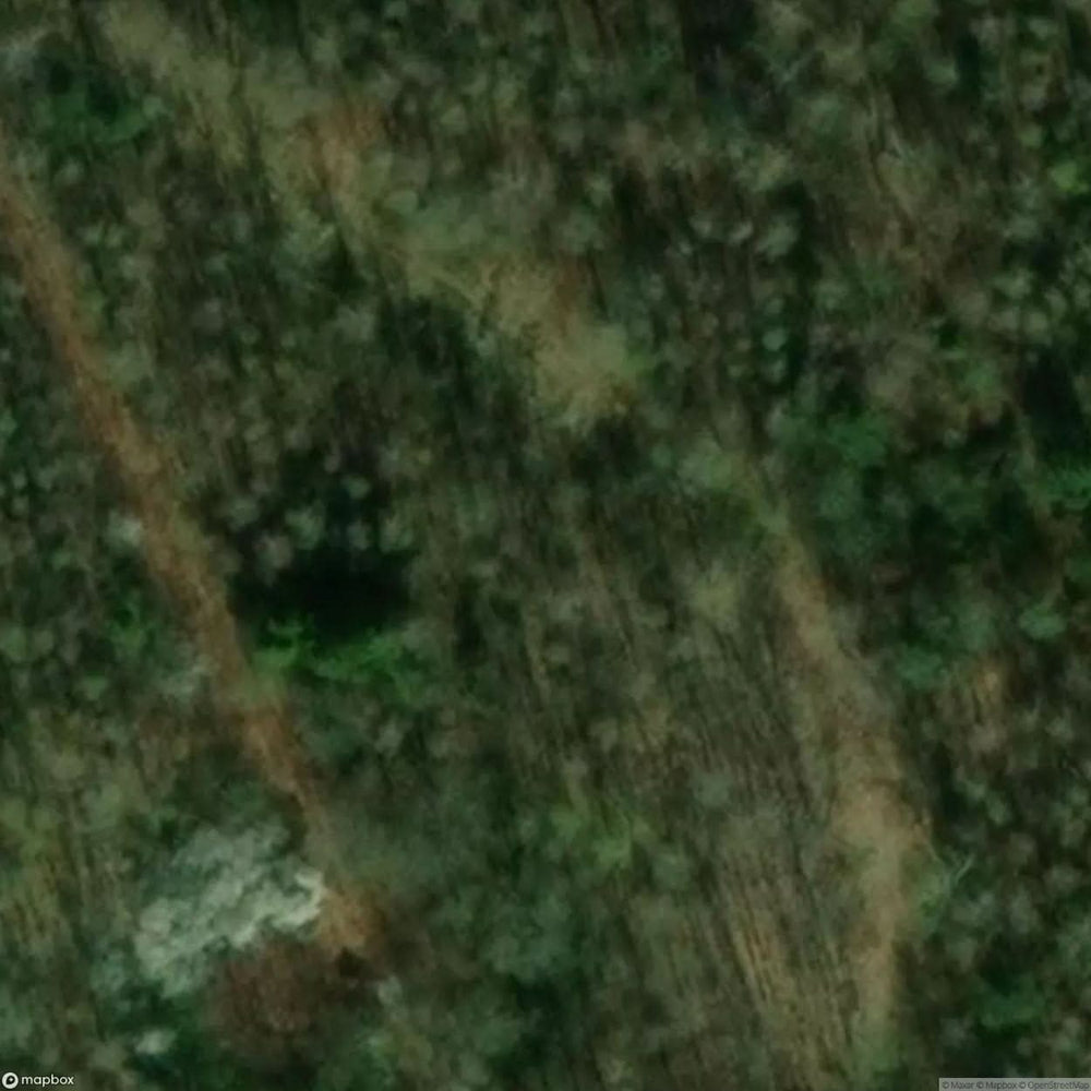 Abandoned Air Defense Site Babido [POL] #32101