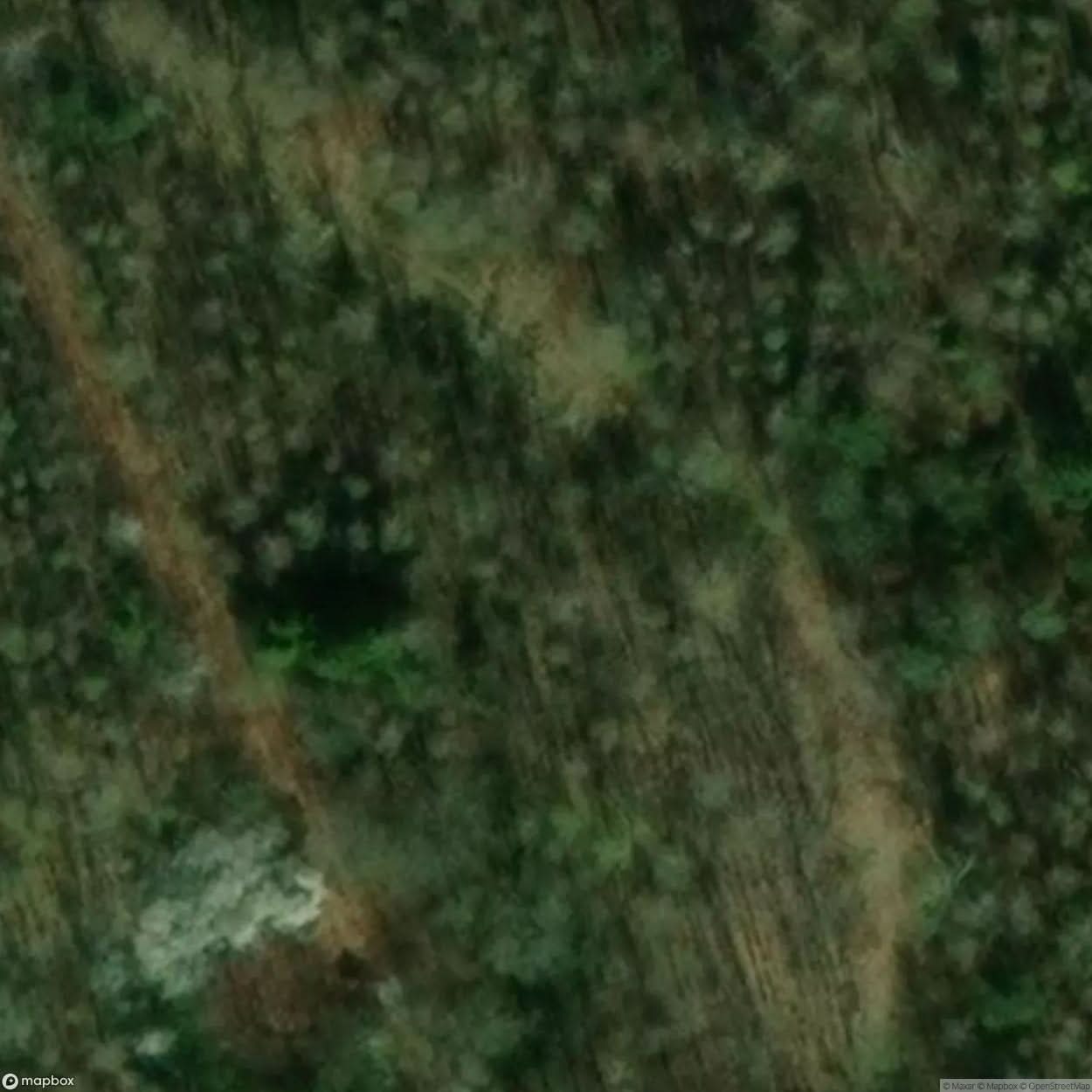 Abandoned Air Defense Site Babido [POL] #32101
