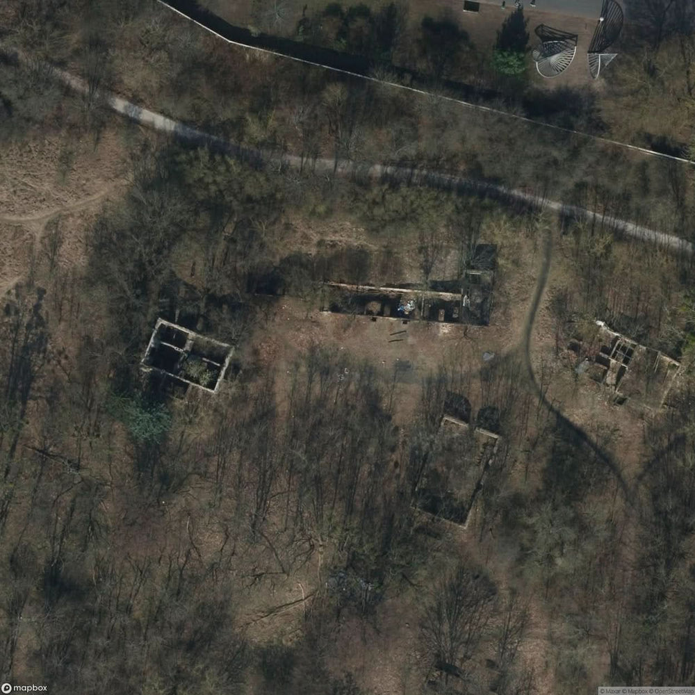 Ruins Of An Agricultural Estate [POL] #11763