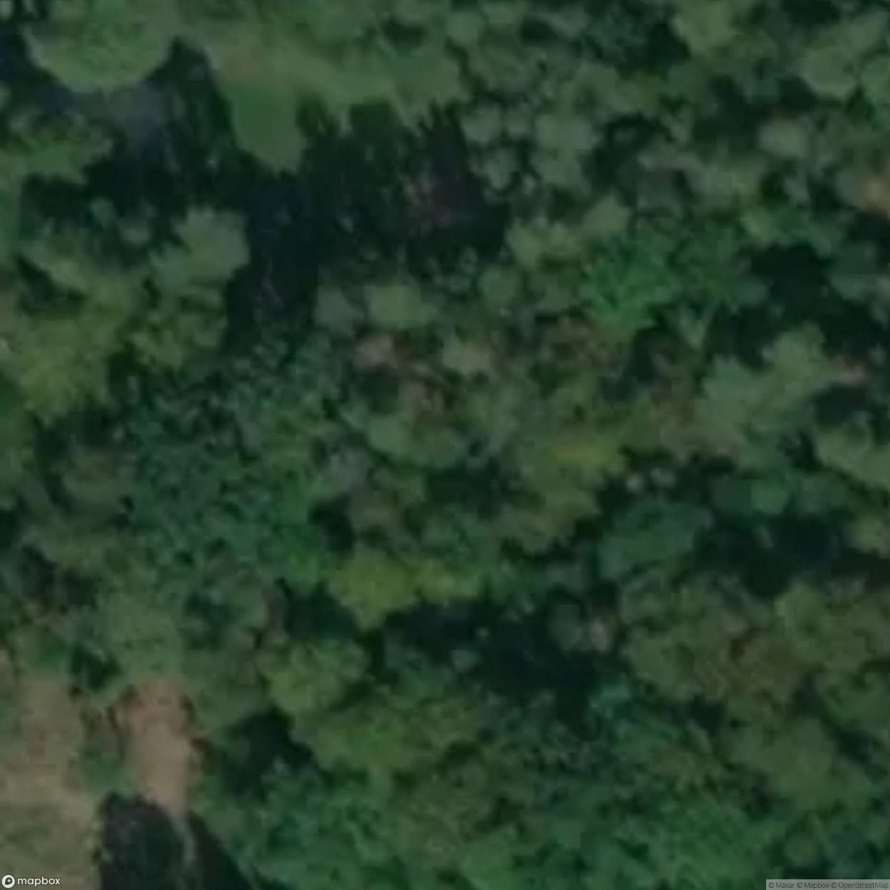 Dankow Site [POL] #33365