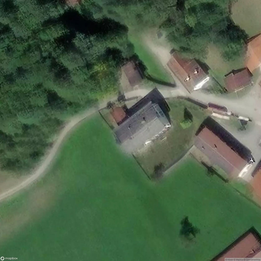 Primary School [AUT] #10151