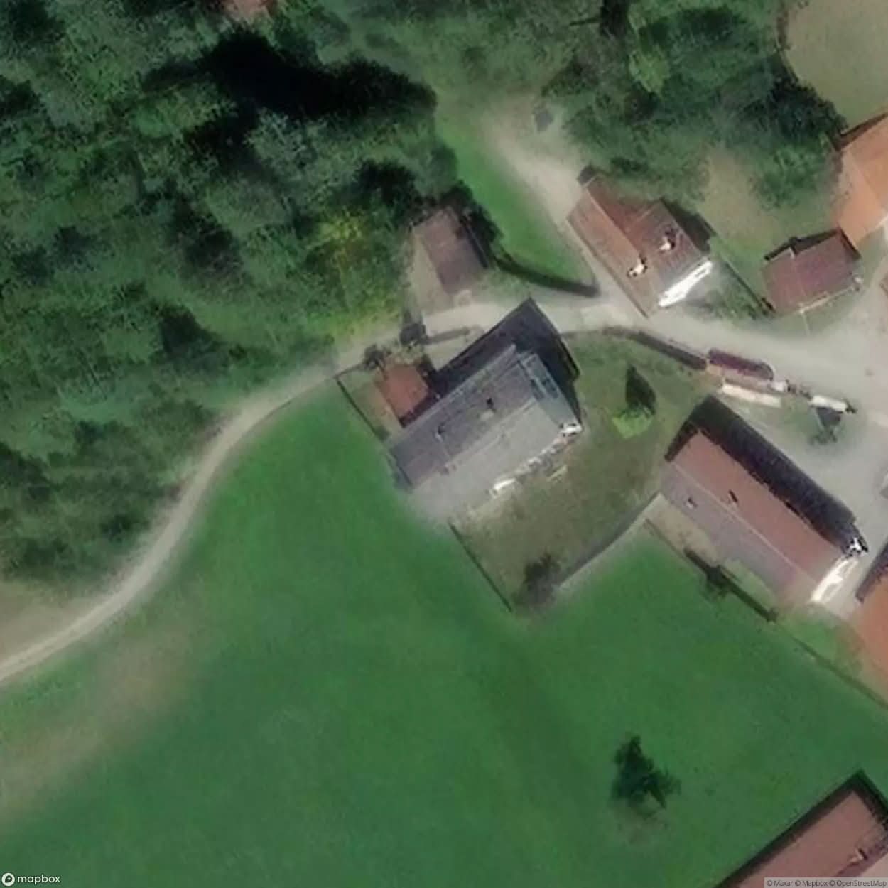 Primary School [AUT] #10151
