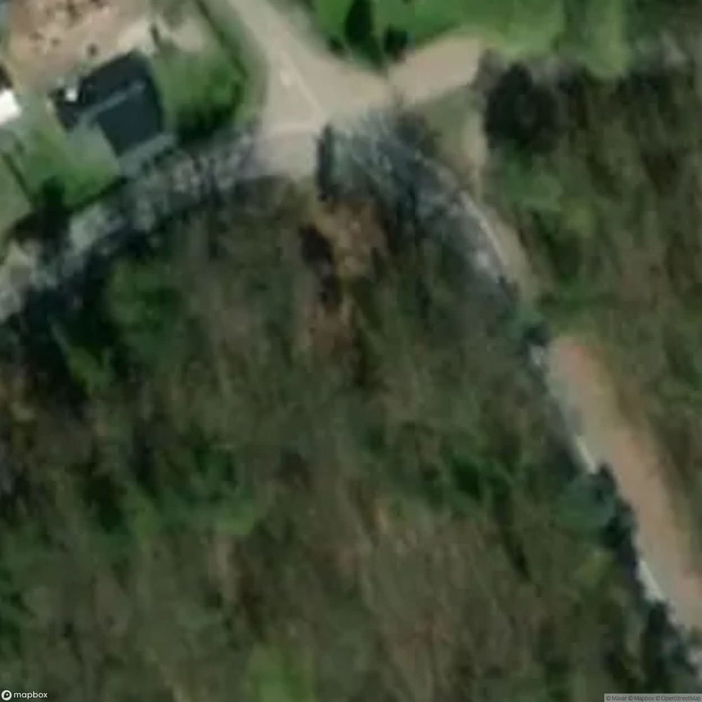 Historic Cemetery Ulinia [POL] #35841