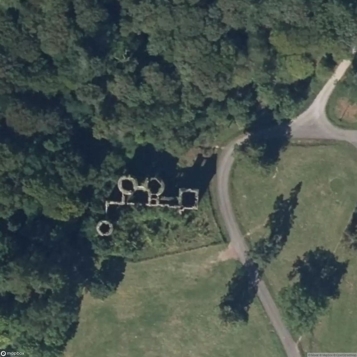 Wolf Wood Castle Wolf Castle [FRA] #12143
