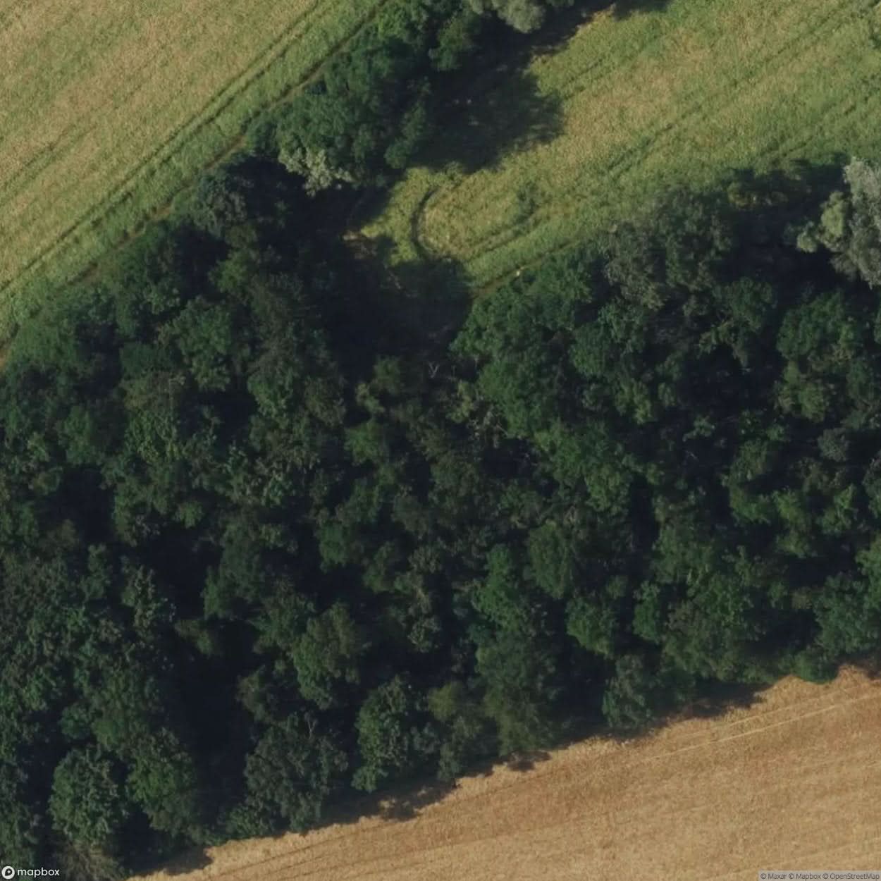 Bunker Remains [AUT] #17354