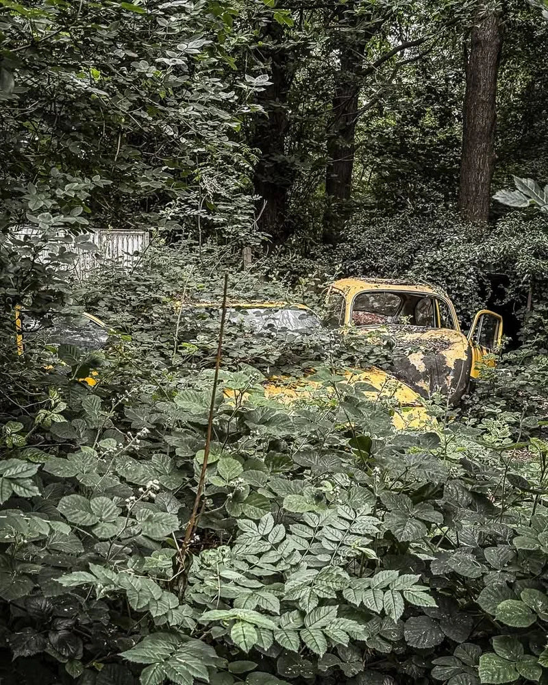 Yellow Cars [BEL] #14839